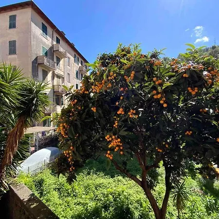 Appartement Amazing Grace